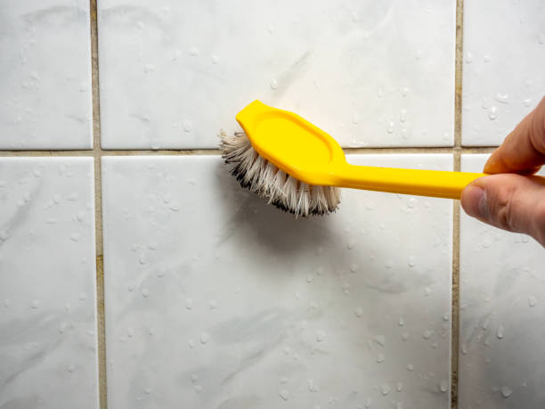 Best Commercial Mold Removal  in Stroville, CA