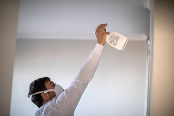 Castroville, CA Mold Removal Company
