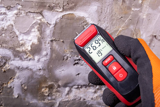 Best Water Damage Restoration  in Stroville, CA