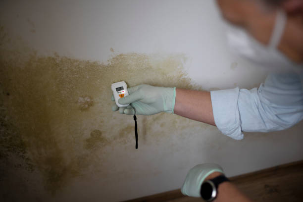 Best Crawl Space Mold Removal  in Stroville, CA
