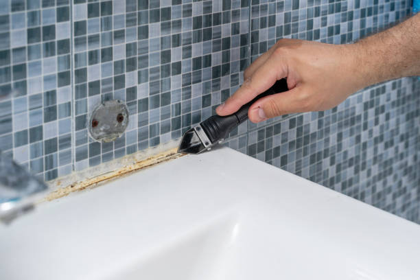 Best Mold Damage Repair  in Stroville, CA