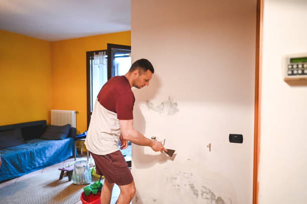 Best Home Mold Removal  in Stroville, CA